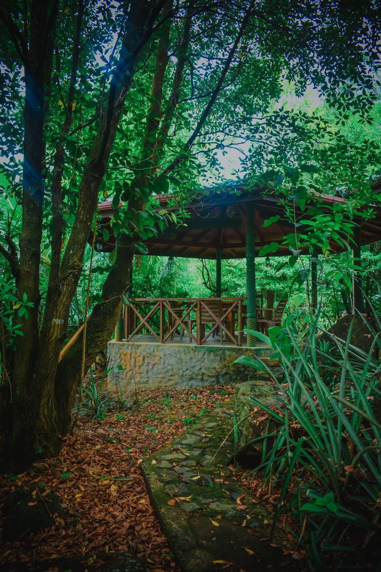 Sinharaja Rest Ξενοδοχείο Deniyaya Εξωτερικό φωτογραφία